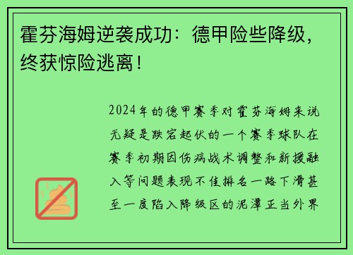 霍芬海姆逆袭成功：德甲险些降级，终获惊险逃离！