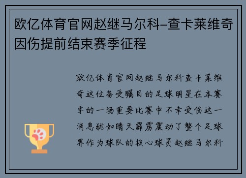 欧亿体育官网赵继马尔科-查卡莱维奇因伤提前结束赛季征程